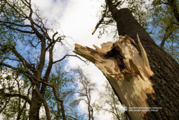 Після негоди світло повернули майже 130 тисячам абонентів на Дніпропетровщині