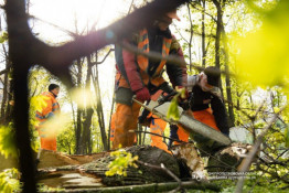 Після негоди світло повернули майже 130 тисячам абонентів на Дніпропетровщині