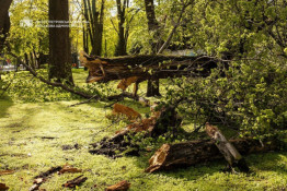 Після негоди світло повернули майже 130 тисячам абонентів на Дніпропетровщині