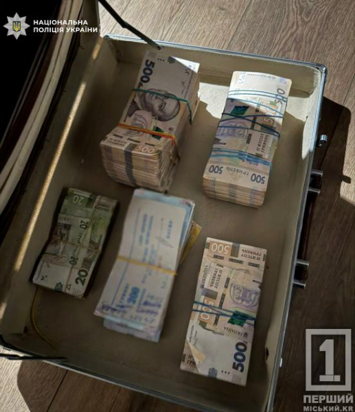 Пів мільярда осіли у чужих кишенях: на Дніпропетровщині пройшли обшуки у справі про відмивання оборонних коштів