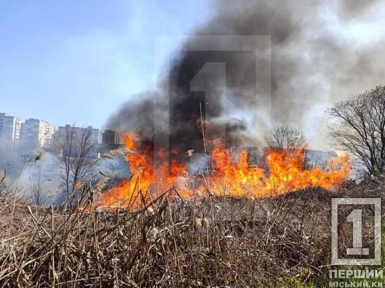 Півтора гектара зійшло на попіл: на Даманському вирувала масштабна пожежа