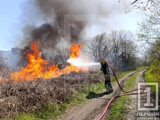 Півтора гектара зійшло на попіл: на Даманському вирувала масштабна пожежа