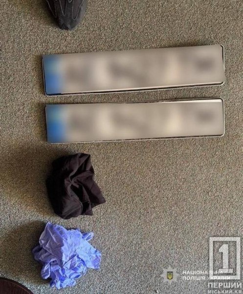 Побили жінку й накивали п’ятами: поліція затримала підозрюваних у нападі на суддю на Дніпропетровщині