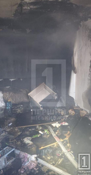 Порятунок через вікно та визволення бабусі з вогню: у Кривому Розі рятувальники приборкали два займання