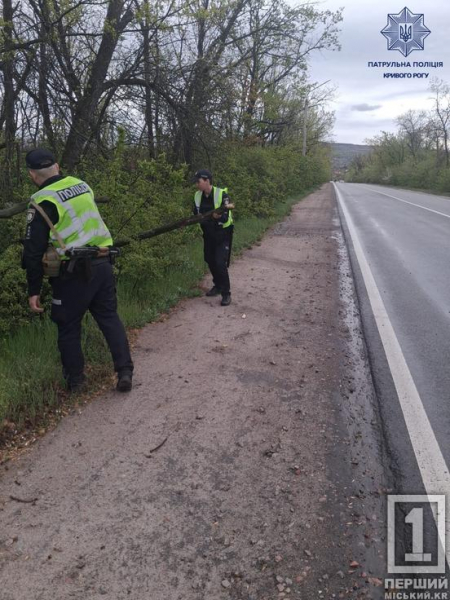 Повалені дерева та тисячі домівок без світла: Дніпропетровщиною пронісся буревій