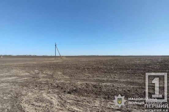 Приховав 200 гектарів землі та мільйонні прибутки: на Криворіжжі викрили депутата-махінатора