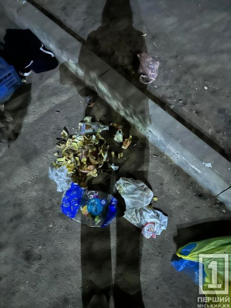 У Кривому Розі на 7-му Зарічному у сміттєвому баку знайшли новонароджених кошенят