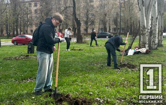 У Кривому Розі висадили 30 дерев у парку імені Кузьми Скрябіна