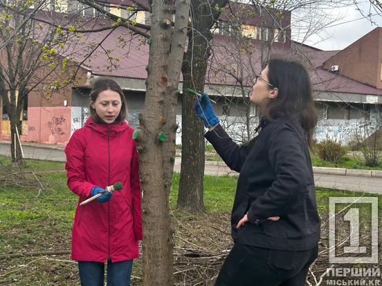 У Кривому Розі висадили 30 дерев у парку імені Кузьми Скрябіна