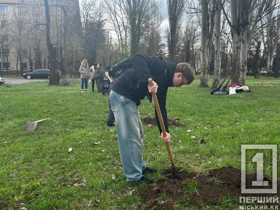 У Кривому Розі висадили 30 дерев у парку імені Кузьми Скрябіна