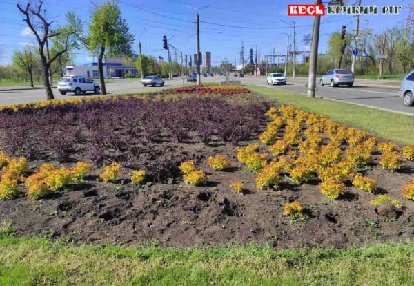 Зелені насадження поцупили на вул. Вільної Ічкерії в Кривому Розі
