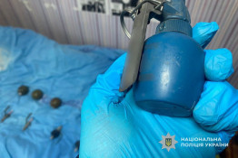 У Криворізькому районі місцевий житель незаконно зберігав зброю та боєприпаси