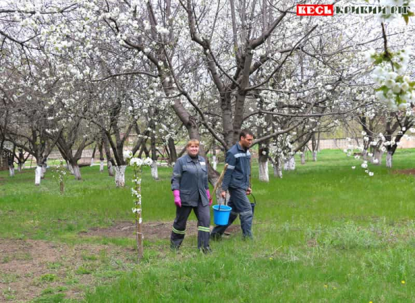 Фруктові дерева висадили у власному саду працівники руднику Суха Балка