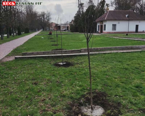 Саджанці дерев висаджено в Софіївській громаді Криворізького району