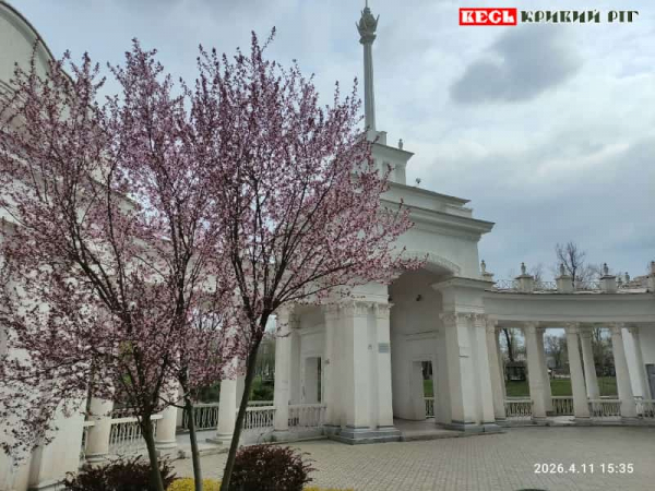Сакури зацвіли поблизу Човникової станції в Кривому Розі