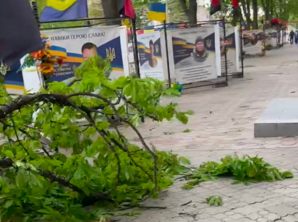 Відсутність світла, повалені дерева та пошкоджені авто: наслідки буревію на Криворіжжі