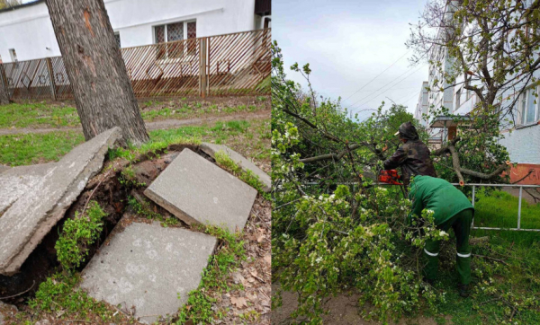 Відсутність світла, повалені дерева та пошкоджені авто: наслідки буревію на Криворіжжі