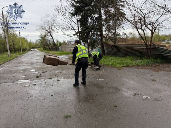 Відсутність світла, повалені дерева та пошкоджені авто: наслідки буревію на Криворіжжі