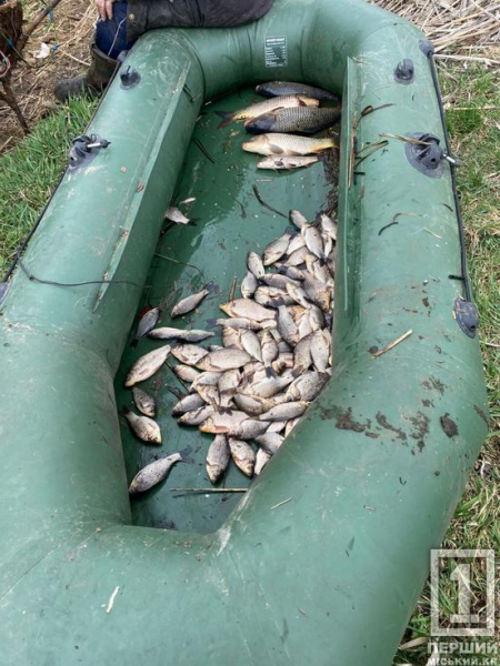 Використання електровудки обернулося проти гаманця: у Криворізькому районі викрили чорного рибалку