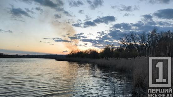 З гілками проти вогню: на Зарічному рятувальники й діти гасили очерет