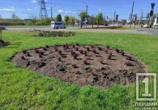 Залишили порожні лунки: на вулиці Вільної Ічкерії вандали спустошили клумби