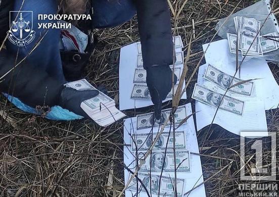 Фіктивне бронювання за 15 тисяч доларів: у Кривому Розі судитимуть військового ВСП та його спільницю