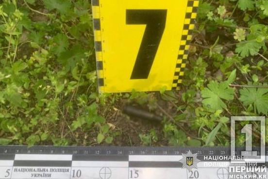 Кулі прошили ворота  та понівечили іномарку: на Дніпропетровщині затримали чоловіка, що вчинив стрілянину посеред ночі