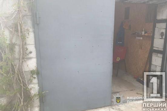 Кулі прошили ворота  та понівечили іномарку: на Дніпропетровщині затримали чоловіка, що вчинив стрілянину посеред ночі