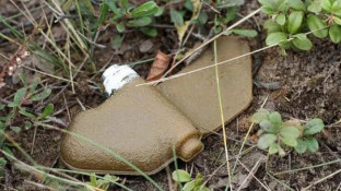 На Дніпропетровщині через вибух боєприпасу постраждала 10- річна дитина