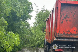 На Криворіжжі поліцейські організували об’їзд через дерево, яке буревій повалив на дорогу