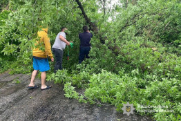 На Криворіжжі поліцейські організували об’їзд через дерево, яке буревій повалив на дорогу