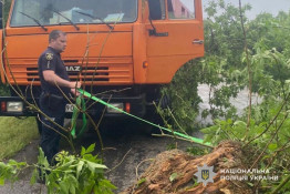 На Криворіжжі поліцейські організували об’їзд через дерево, яке буревій повалив на дорогу