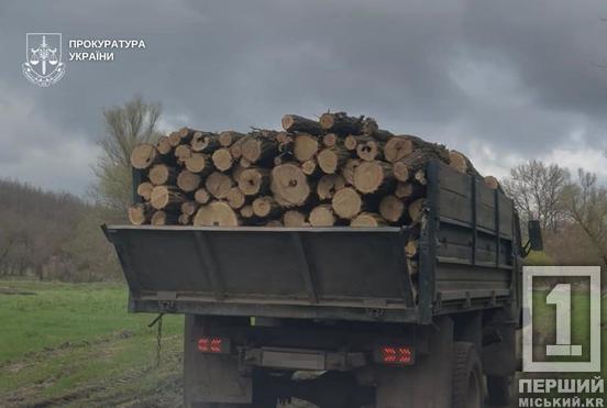 Нищили ліс пів року: на Дніпропетровщині затримали банду «чорних лісорубів»