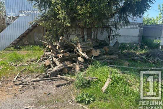 Нищили ліс пів року: на Дніпропетровщині затримали банду «чорних лісорубів»