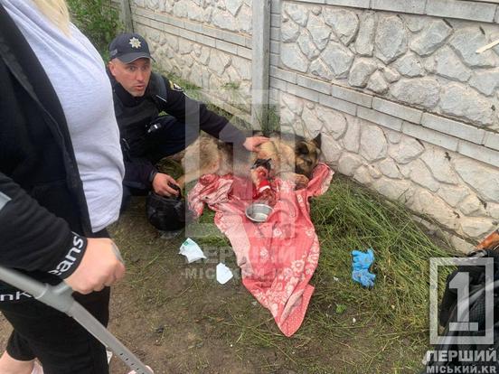 Одна поранена та близько десяти будинків пошкоджені: наслідки атаки «шахедів» по Кривому Рогу