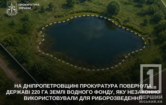 Рибний бізнес поза законом - «все»: на Криворіжжі державі повернули 220 гектарів землі зі ставком
