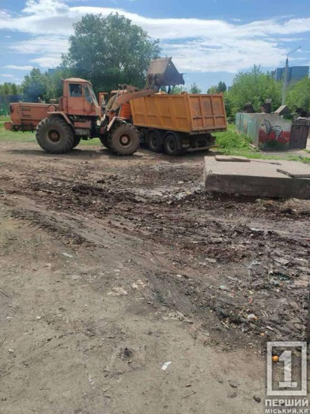Сміттєвий день бабака: у Довгинцівському районі очищений майданчик почав повертатися до старого вигляду за годину