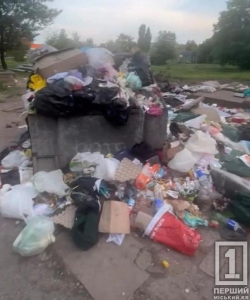 Сміттєвий день бабака: у Довгинцівському районі очищений майданчик почав повертатися до старого вигляду за годину