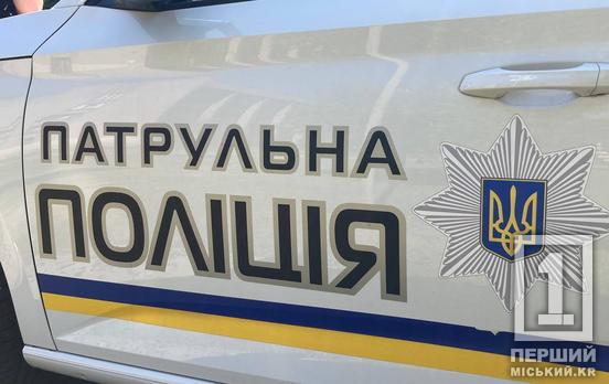 Собака захищав непритомну господарку: у Кривому Розі патрульні та медики врятували жінку з інсультом