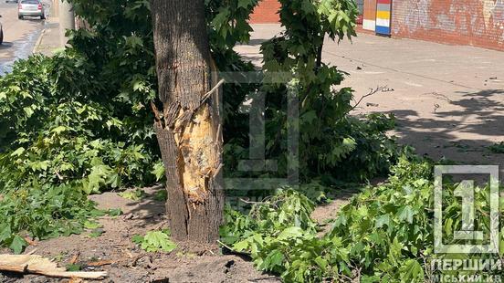 У Кривому Розі на проспекті Миру Audi влетіла в дерево: водійку забрали до лікарні