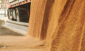 Угорщина знову забороняє імпорт агропродукції з України