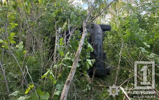 В аварії на Львівщині постраждали двоє жителів Дніпра: автівка вилетіла з дороги та перекинулася