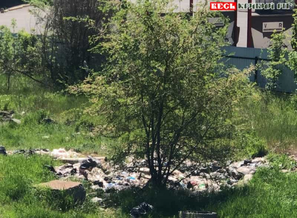 Стихійне сміттєзвалище в Центрально-Міському районі Кривого Рогу
