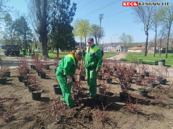 Нові насадження навесні висадили працівники Сансервісу в Кривому Розі