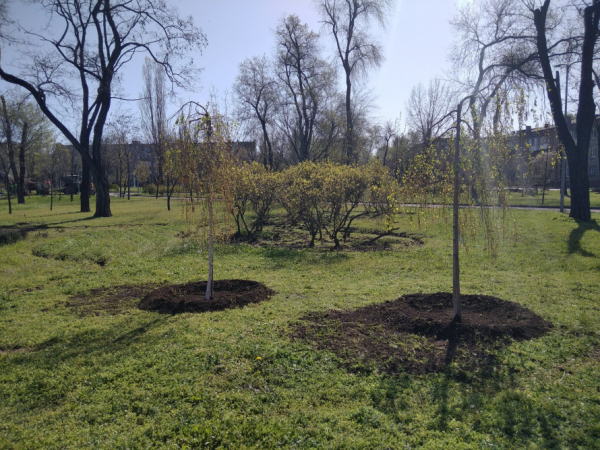 Весняне оновлення Кривого Рогу: сакури, клени та плакучі берези прикрасили місто