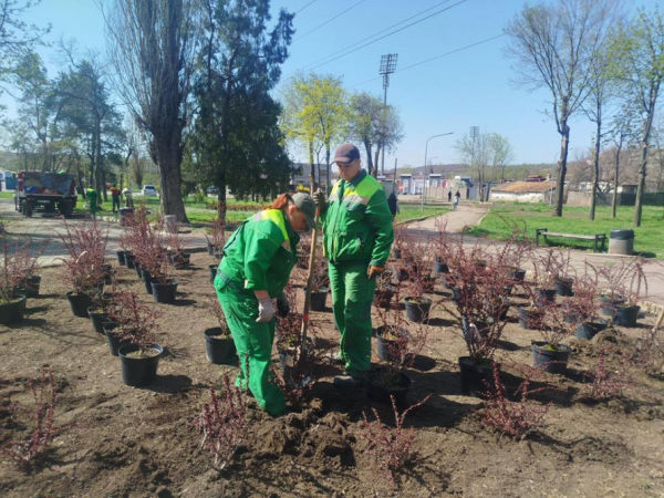 Весняне оновлення Кривого Рогу: сакури, клени та плакучі берези прикрасили місто