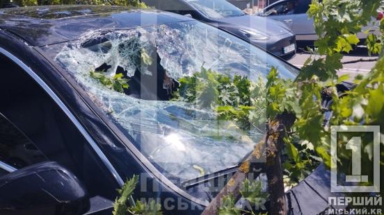 Вітер, розтрощене лобове  скло та обірвані дроти: на проспекті Миру дерево впало на легковик