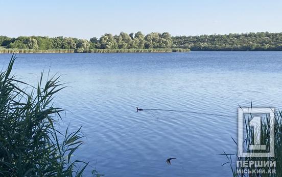 Аварія на воді: під Кривим Рогом гідроцикл протаранив «банан» із підлітками