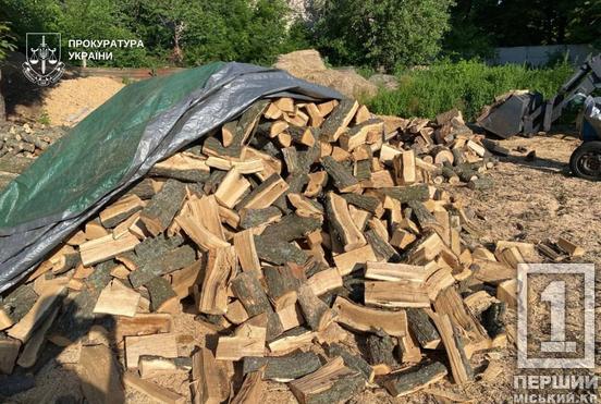 Бізнес на деревині та зброя в кущах: на Дніпропетровщині затримали чорних лісорубів