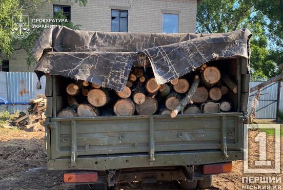 Бізнес на деревині та зброя в кущах: на Дніпропетровщині затримали чорних лісорубів